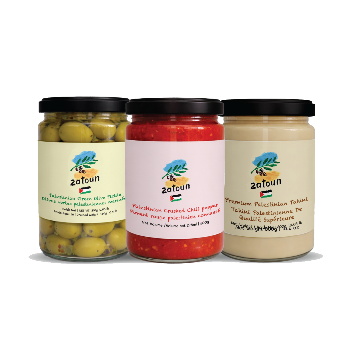 Zatoun Palestinian Trio
