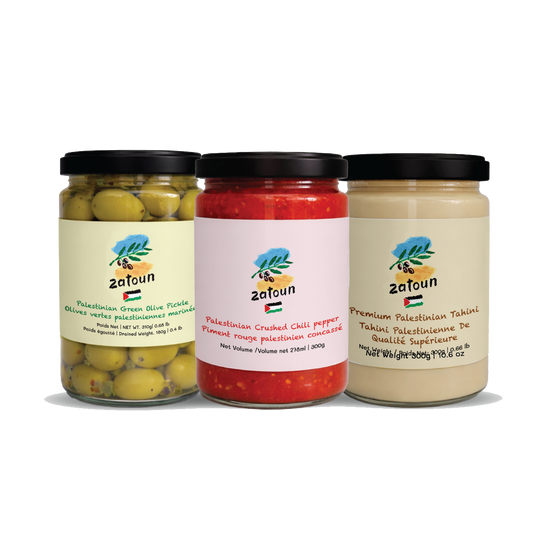 Zatoun Palestinian Trio