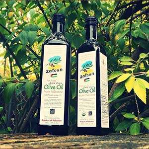 Zatoun Extra Virgin Olive Oil, 750mL (12 bottles)